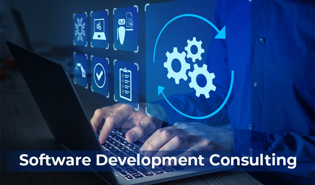 Software development consulting